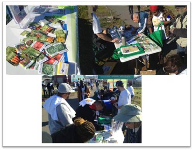 MLK volunteers